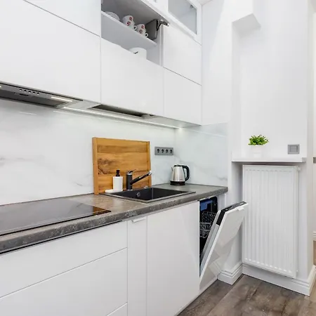 Studio Cracow Starowislna 41 & 43 By Renters Krakow